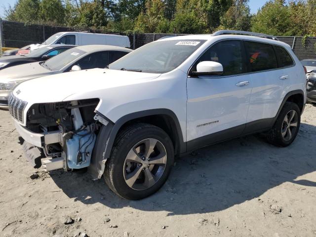 JEEP CHEROKEE L 2019 1c4pjmdn7kd237931