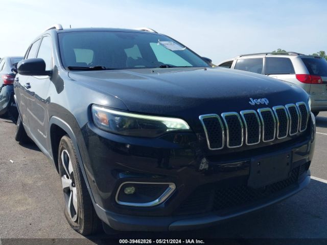 JEEP CHEROKEE 2019 1c4pjmdn7kd259962