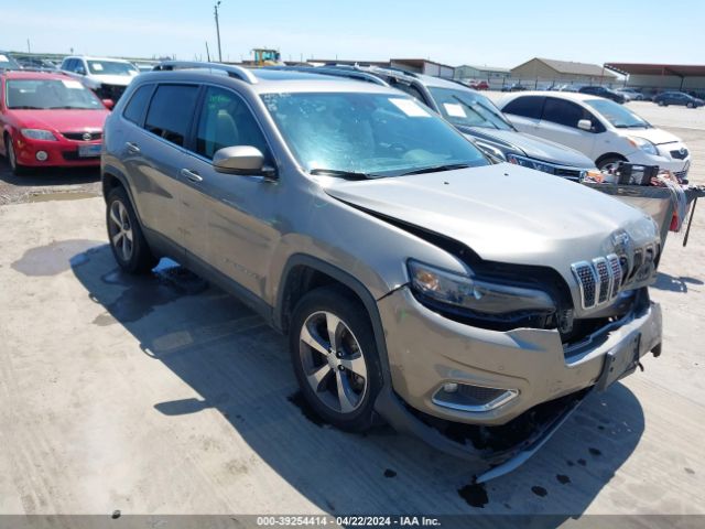 JEEP CHEROKEE 2020 1c4pjmdn7ld533808