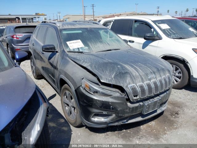 JEEP CHEROKEE 2019 1c4pjmdn8kd116244