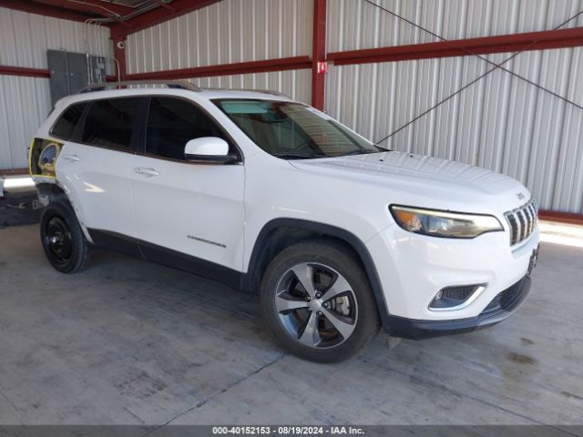 JEEP CHEROKEE 2019 1c4pjmdn8kd169560