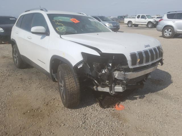 JEEP CHEROKEE L 2019 1c4pjmdn8kd174399