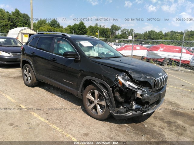 JEEP CHEROKEE 2019 1c4pjmdn8kd464576