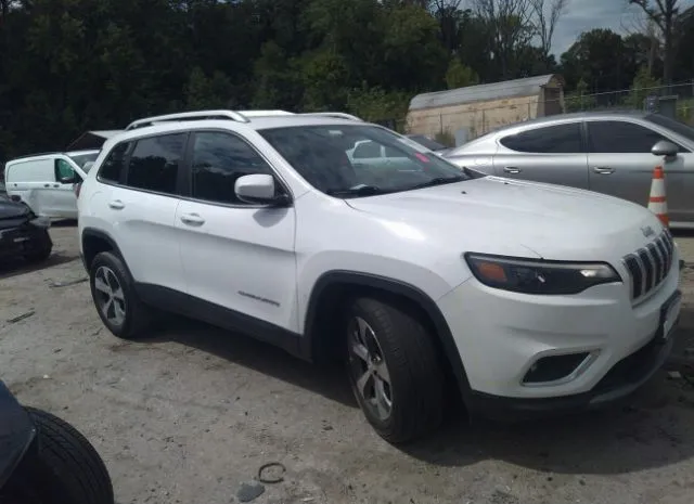 JEEP CHEROKEE 2019 1c4pjmdn9kd131884