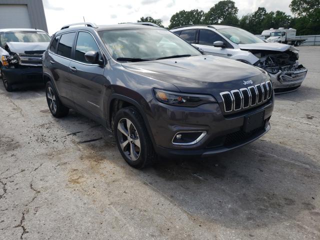 JEEP CHEROKEE L 2019 1c4pjmdn9kd233332