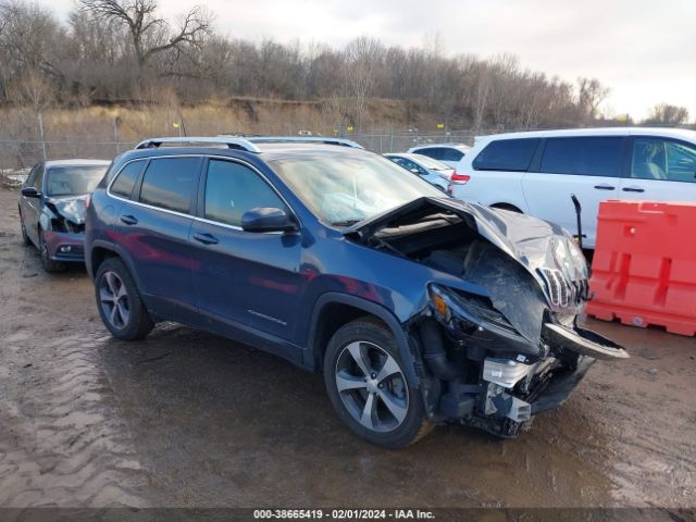 JEEP CHEROKEE 2019 1c4pjmdn9kd408548