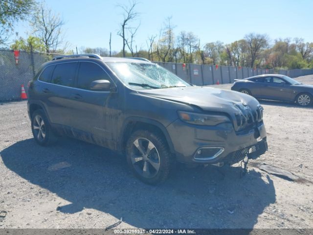 JEEP CHEROKEE 2019 1c4pjmdn9kd447379