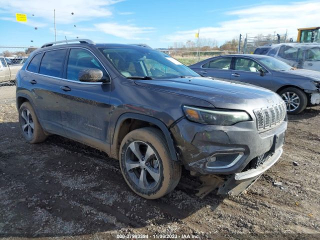 JEEP CHEROKEE 2019 1c4pjmdnxkd191656