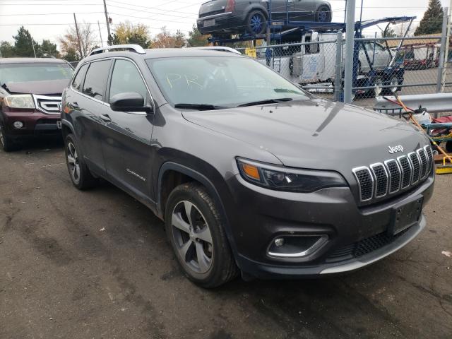 JEEP CHEROKEE 2019 1c4pjmdnxkd211999