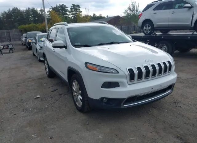 JEEP CHEROKEE 2014 1c4pjmds1ew303663