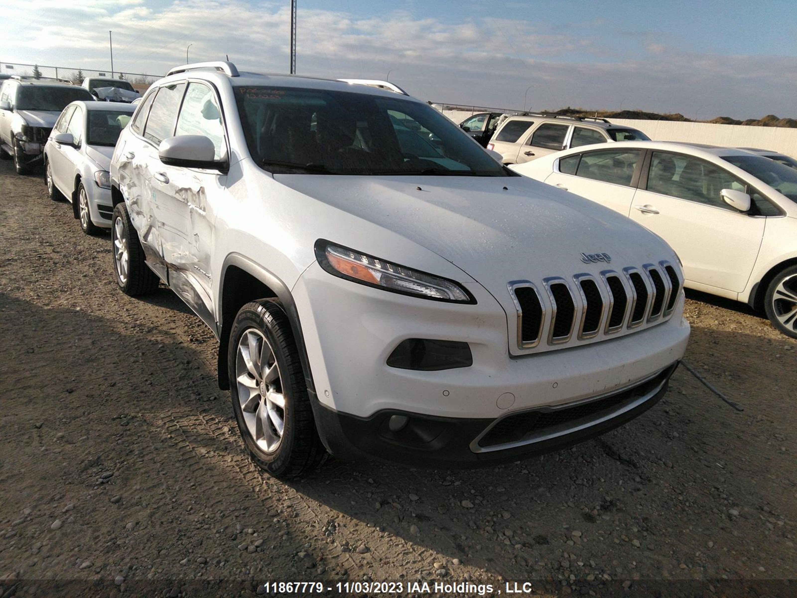 JEEP CHEROKEE 2014 1c4pjmds2ew139663