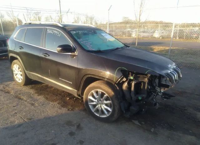 JEEP CHEROKEE 2014 1c4pjmds3ew215035