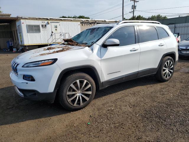 JEEP CHEROKEE L 2014 1c4pjmds4ew180666