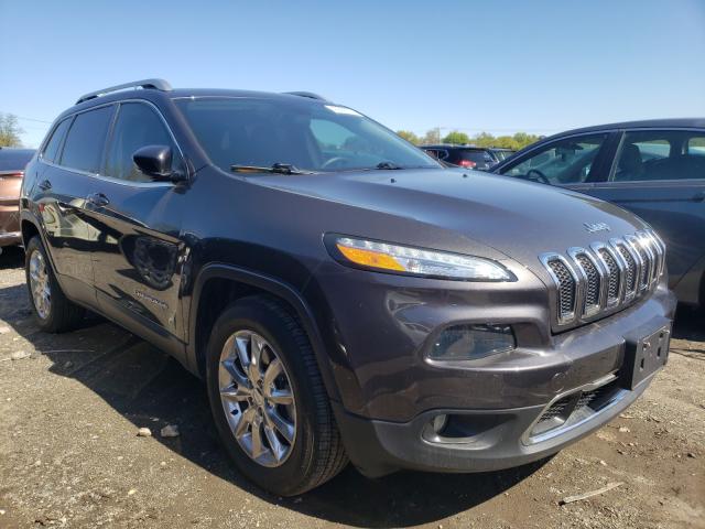 JEEP CHEROKEE 2014 1c4pjmds4ew242485