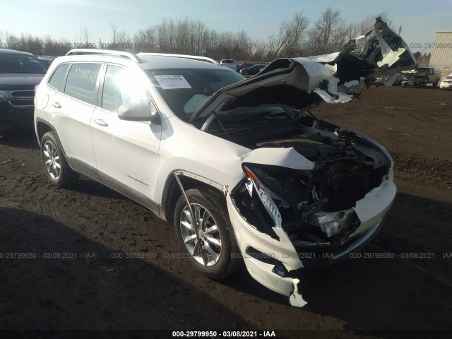 JEEP CHEROKEE 2014 1c4pjmds6ew194097