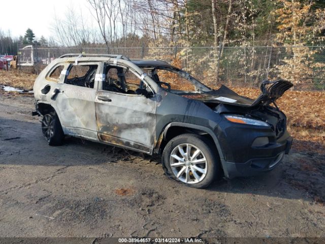 JEEP CHEROKEE 2014 1c4pjmds8ew294251