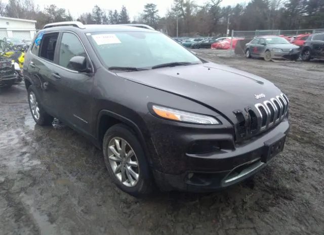 JEEP CHEROKEE 2014 1c4pjmds9ew196989