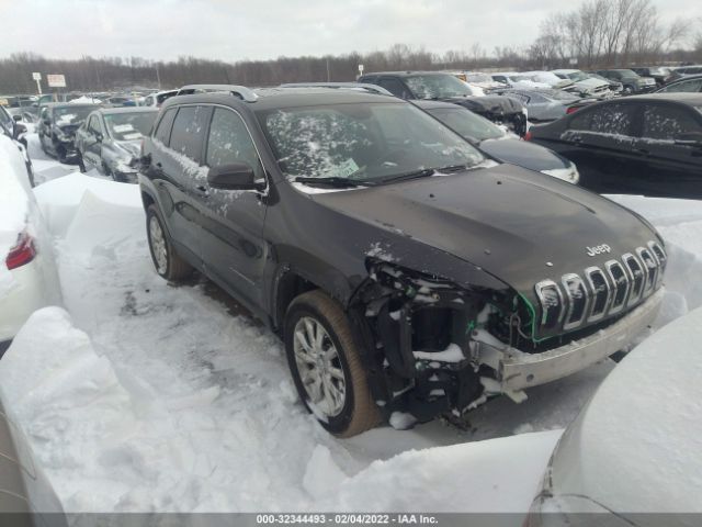 JEEP CHEROKEE 2014 1c4pjmdsxew189016