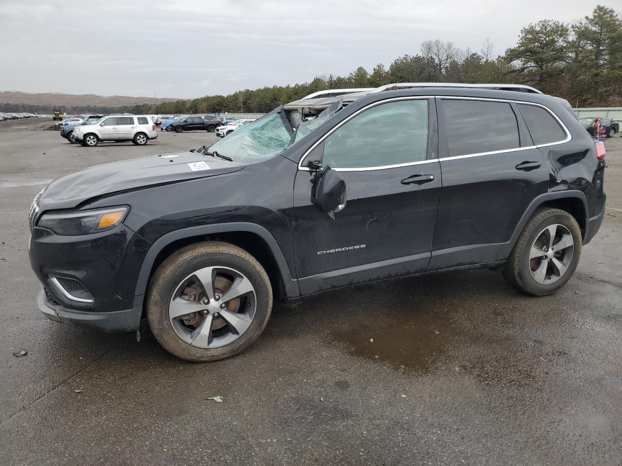 JEEP GRAND CHEROKEE 2019 1c4pjmdx0kd135081