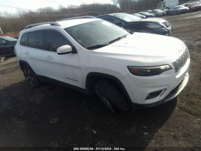 JEEP CHEROKEE 2019 1c4pjmdx0kd163611