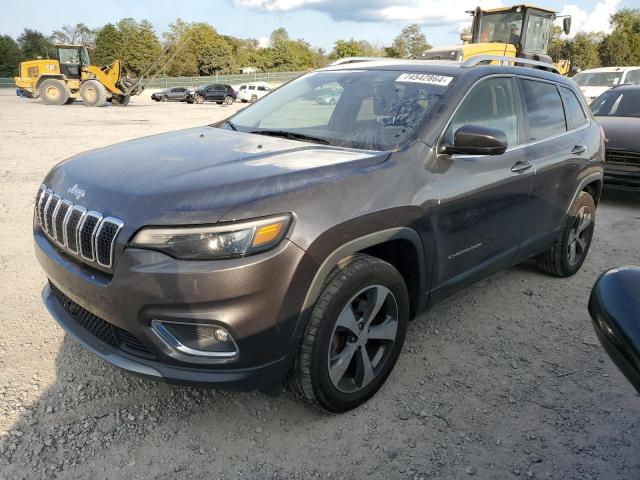 JEEP CHEROKEE L 2019 1c4pjmdx0kd219420