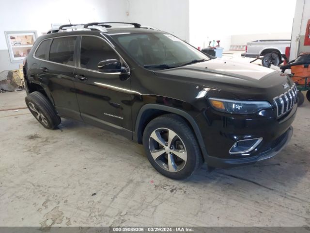 JEEP CHEROKEE 2019 1c4pjmdx0kd299785