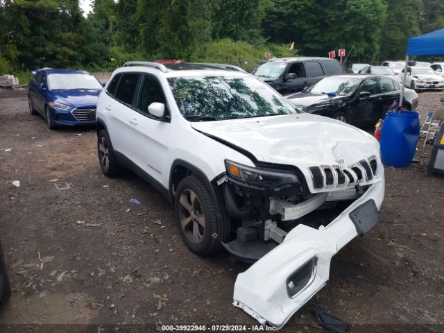 JEEP CHEROKEE 2019 1c4pjmdx0kd317671