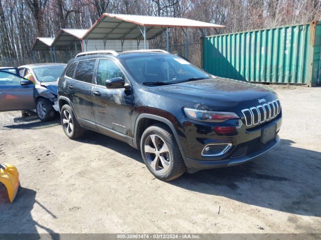 JEEP CHEROKEE 2019 1c4pjmdx0kd380575