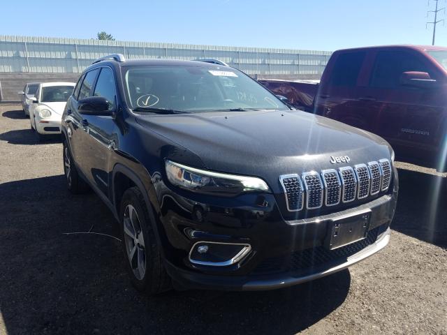 JEEP CHEROKEE L 2019 1c4pjmdx0kd412280