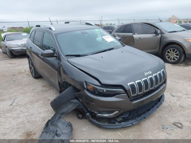 JEEP CHEROKEE 2019 1c4pjmdx0kd423263