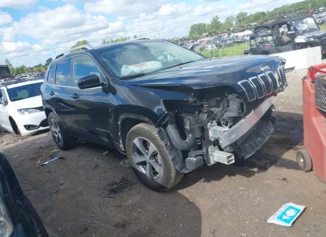 JEEP CHEROKEE 2019 1c4pjmdx0kd425935