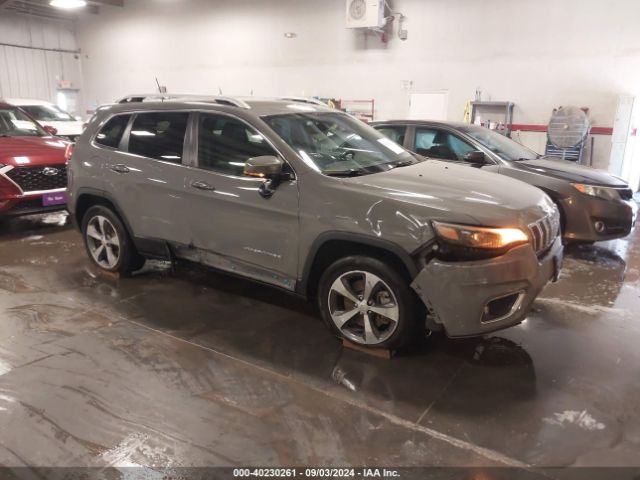 JEEP CHEROKEE 2019 1c4pjmdx0kd441813