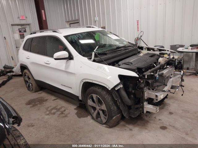 JEEP CHEROKEE 2019 1c4pjmdx0kd450981