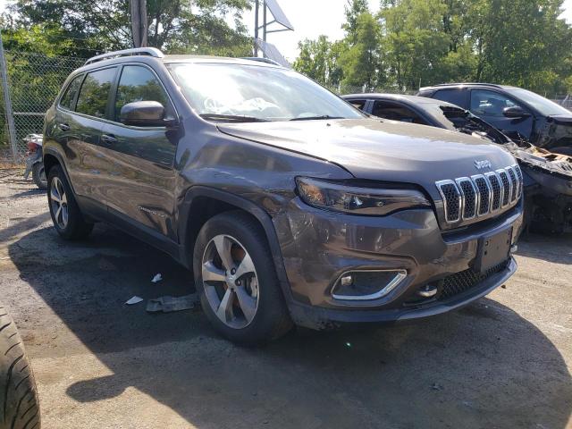 JEEP CHEROKEE L 2021 1c4pjmdx0md127887