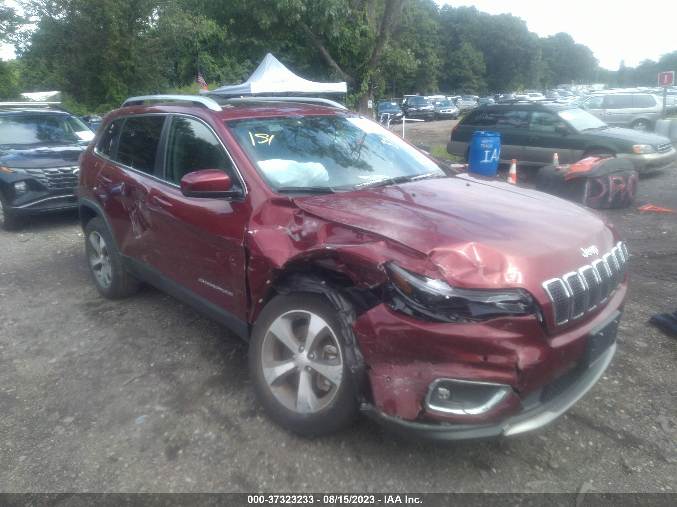 JEEP CHEROKEE 2020 1c4pjmdx0md139909