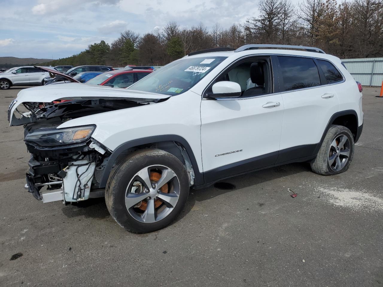 JEEP GRAND CHEROKEE 2021 1c4pjmdx0md201180