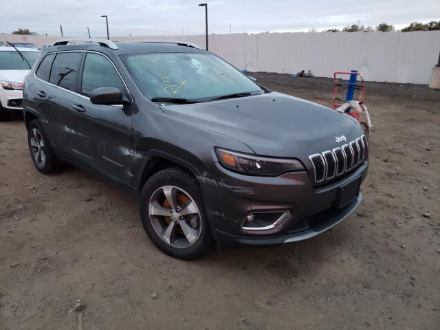 JEEP CHEROKEE L 2019 1c4pjmdx1kd118693