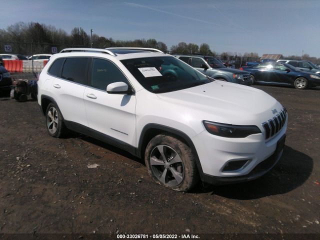 JEEP CHEROKEE 2019 1c4pjmdx1kd137549