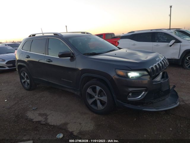 JEEP CHEROKEE 2019 1c4pjmdx1kd161611