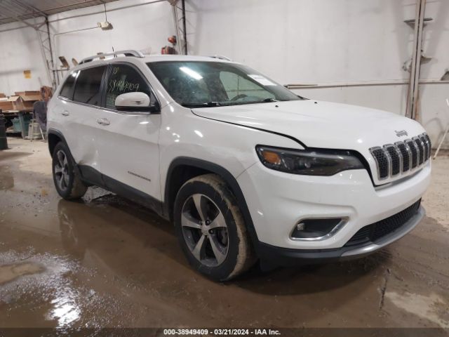 JEEP CHEROKEE 2019 1c4pjmdx1kd177906