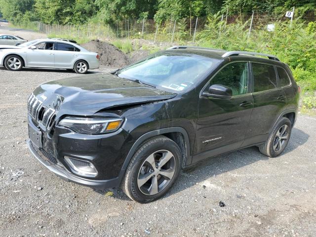 JEEP CHEROKEE L 2019 1c4pjmdx1kd225467