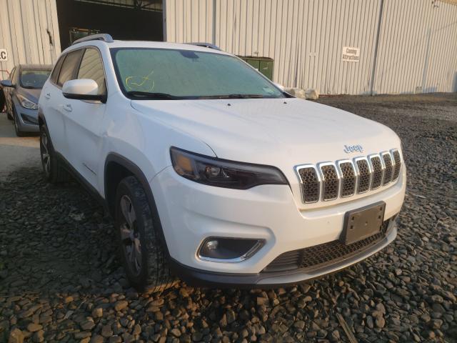 JEEP CHEROKEE L 2019 1c4pjmdx1kd232502