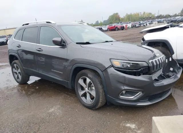 JEEP CHEROKEE 2019 1c4pjmdx1kd245959