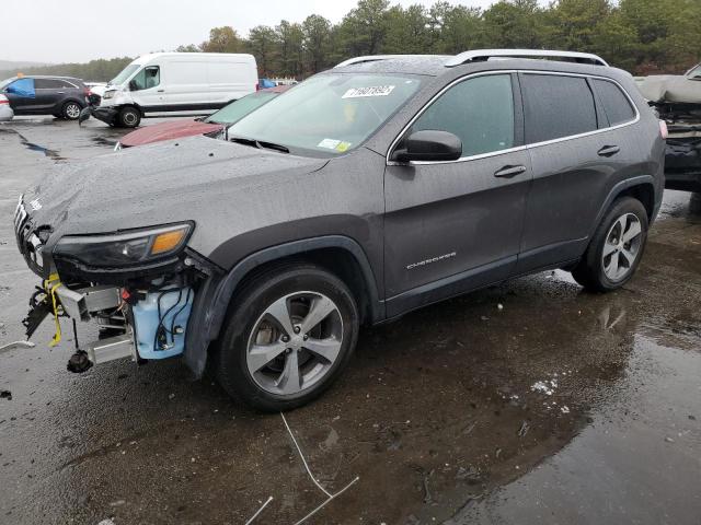 JEEP CHEROKEE L 2019 1c4pjmdx1kd253480