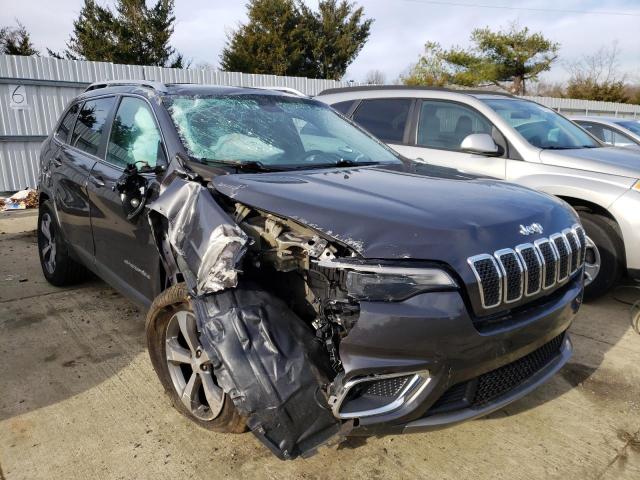 JEEP CHEROKEE L 2019 1c4pjmdx1kd257545