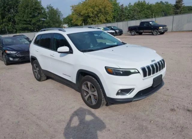 JEEP CHEROKEE 2019 1c4pjmdx1kd293963