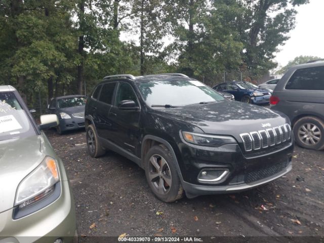 JEEP CHEROKEE 2019 1c4pjmdx1kd303522