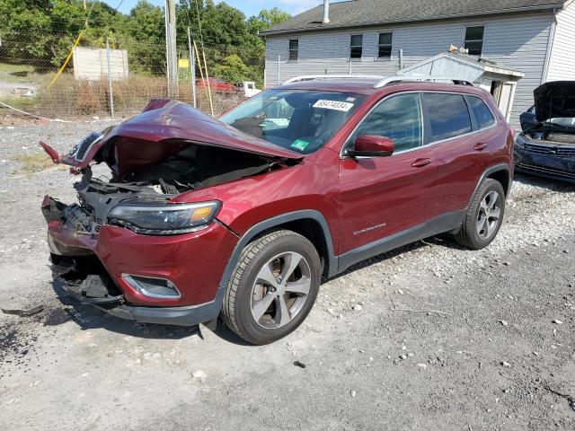 JEEP CHEROKEE L 2019 1c4pjmdx1kd322846