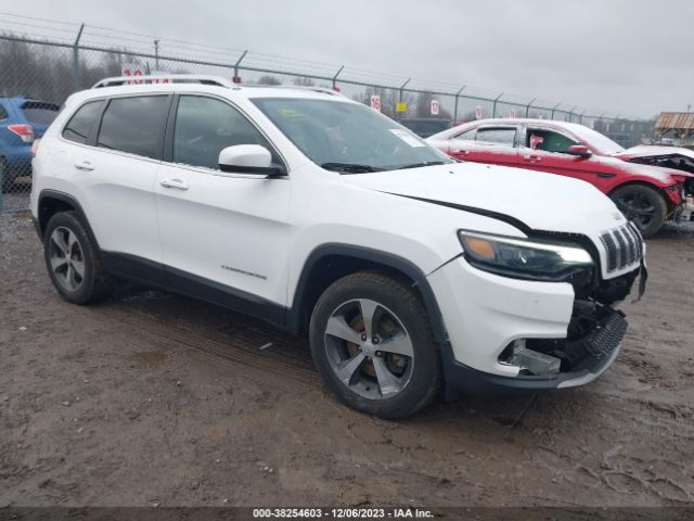 JEEP CHEROKEE 2019 1c4pjmdx1kd351828