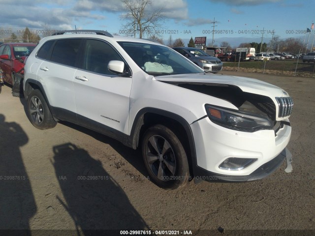 JEEP CHEROKEE 2019 1c4pjmdx1kd353076